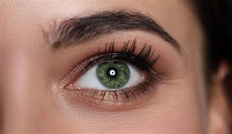 Eye shadow for green eyes. Things To Know About Eye shadow for green eyes. 